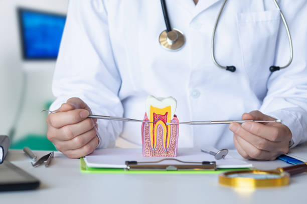 Best Emergency TMJ Treatment in Choudrant, LA
